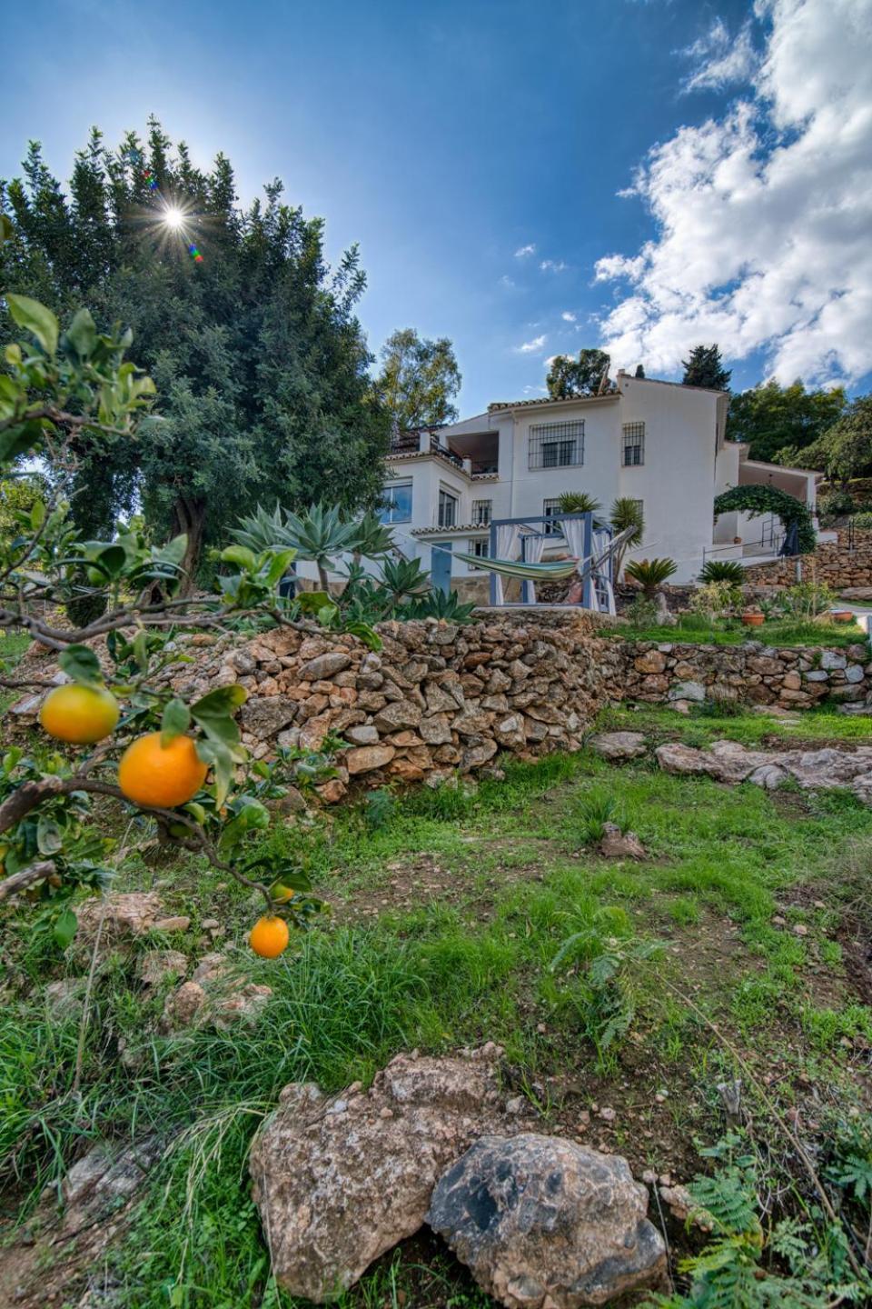 Villa Morera Bed & Breakfast Frigiliana Dış mekan fotoğraf